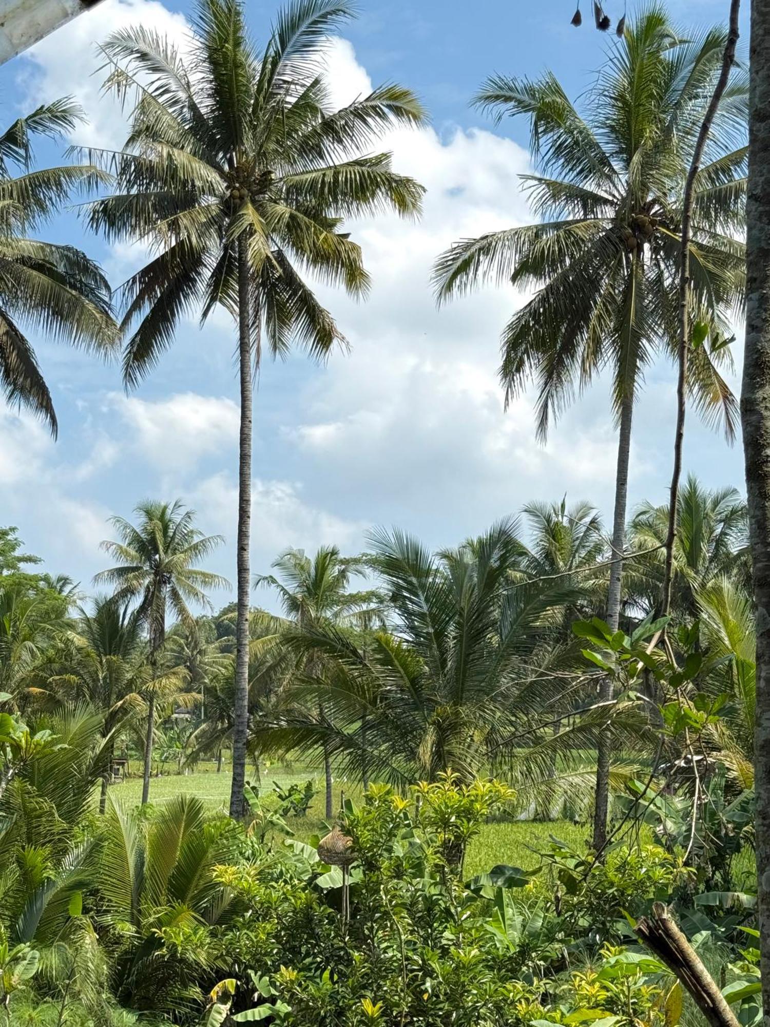Villa Padi Tjangkringen Buitenkant foto
